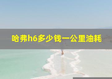 哈弗h6多少钱一公里油耗