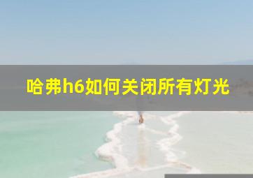 哈弗h6如何关闭所有灯光