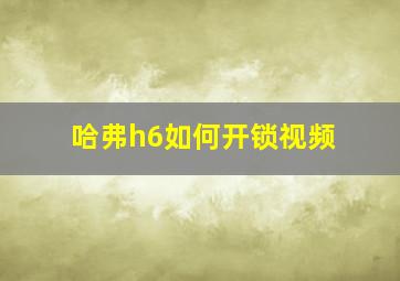 哈弗h6如何开锁视频