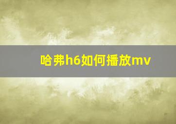 哈弗h6如何播放mv