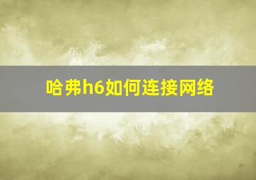 哈弗h6如何连接网络