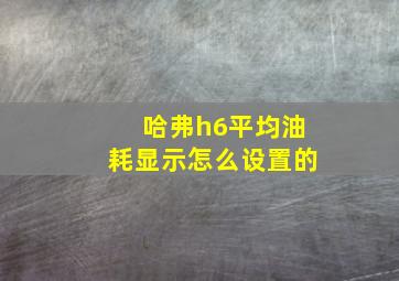 哈弗h6平均油耗显示怎么设置的