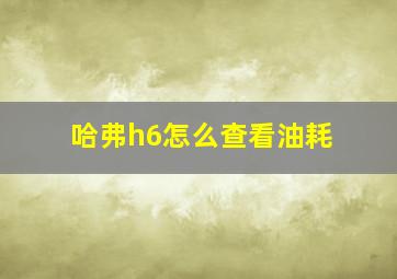 哈弗h6怎么查看油耗