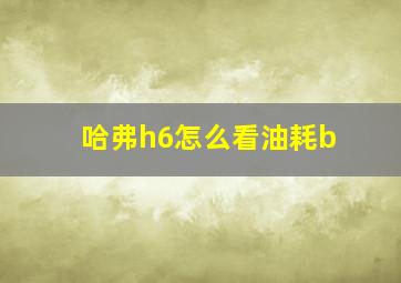 哈弗h6怎么看油耗b