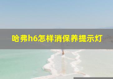 哈弗h6怎样消保养提示灯