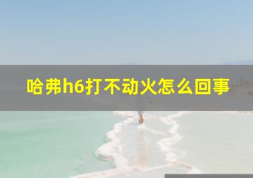 哈弗h6打不动火怎么回事