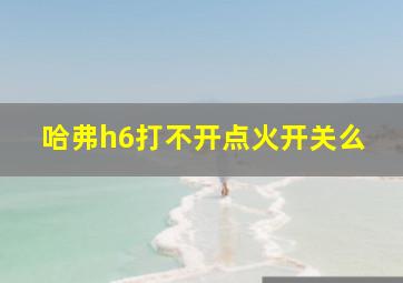 哈弗h6打不开点火开关么