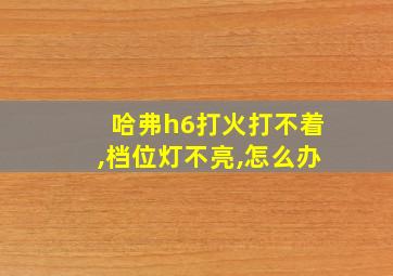 哈弗h6打火打不着,档位灯不亮,怎么办