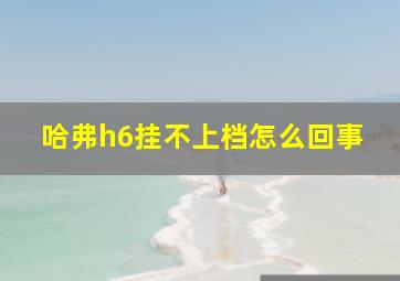 哈弗h6挂不上档怎么回事