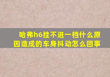 哈弗h6挂不进一档什么原因造成的车身抖动怎么回事