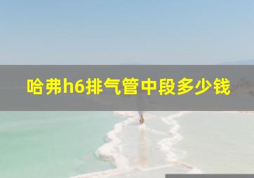 哈弗h6排气管中段多少钱