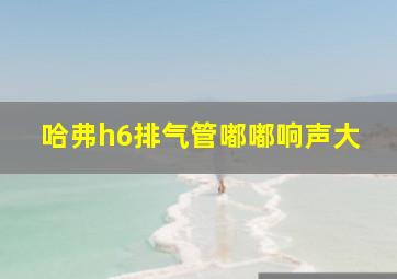 哈弗h6排气管嘟嘟响声大