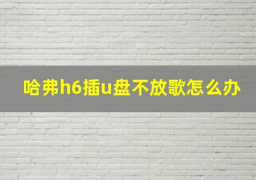 哈弗h6插u盘不放歌怎么办