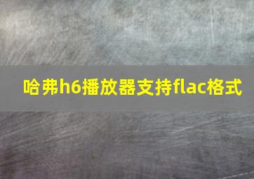 哈弗h6播放器支持flac格式