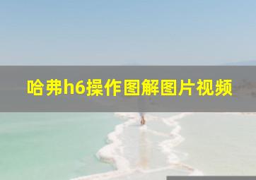 哈弗h6操作图解图片视频