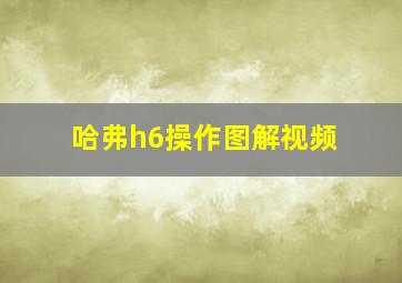 哈弗h6操作图解视频