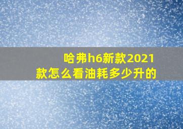 哈弗h6新款2021款怎么看油耗多少升的