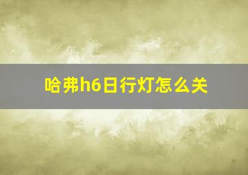 哈弗h6日行灯怎么关