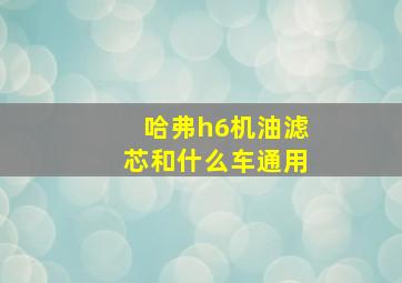 哈弗h6机油滤芯和什么车通用