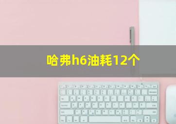 哈弗h6油耗12个