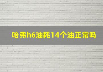 哈弗h6油耗14个油正常吗