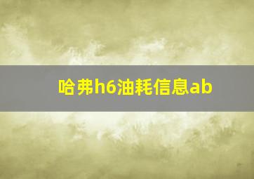 哈弗h6油耗信息ab