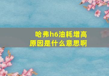 哈弗h6油耗增高原因是什么意思啊