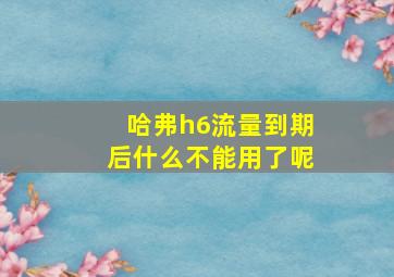 哈弗h6流量到期后什么不能用了呢