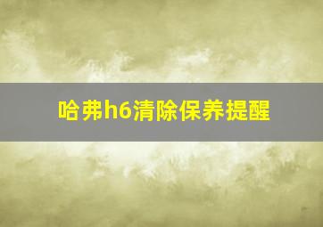 哈弗h6清除保养提醒