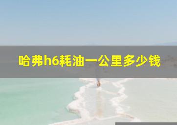 哈弗h6耗油一公里多少钱