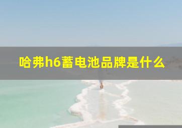 哈弗h6蓄电池品牌是什么