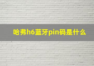 哈弗h6蓝牙pin码是什么