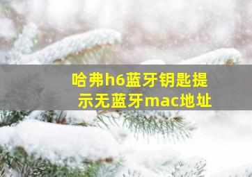 哈弗h6蓝牙钥匙提示无蓝牙mac地址