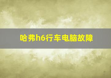 哈弗h6行车电脑故障