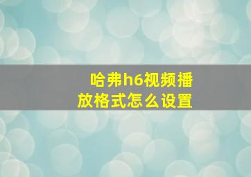 哈弗h6视频播放格式怎么设置