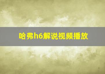 哈弗h6解说视频播放