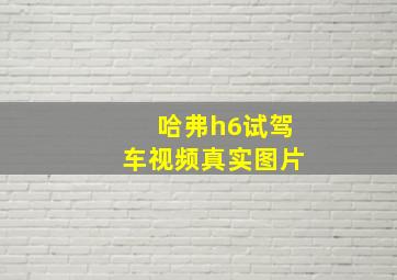 哈弗h6试驾车视频真实图片