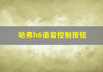 哈弗h6语音控制按钮