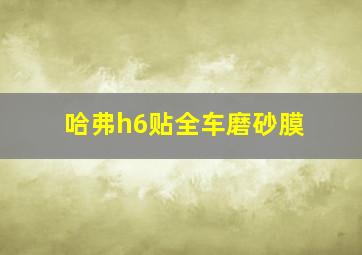 哈弗h6贴全车磨砂膜