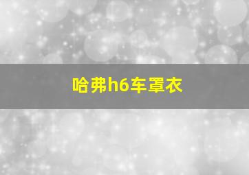 哈弗h6车罩衣