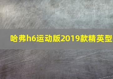 哈弗h6运动版2019款精英型