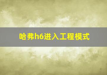 哈弗h6进入工程模式