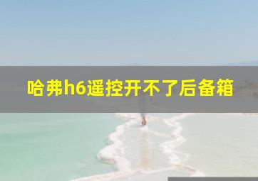 哈弗h6遥控开不了后备箱