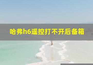 哈弗h6遥控打不开后备箱