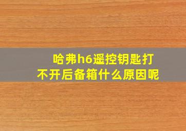 哈弗h6遥控钥匙打不开后备箱什么原因呢