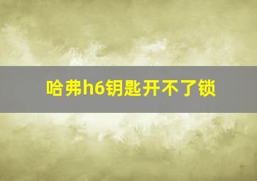 哈弗h6钥匙开不了锁