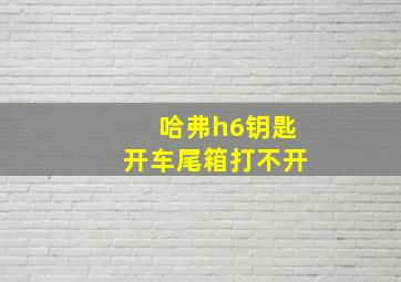 哈弗h6钥匙开车尾箱打不开