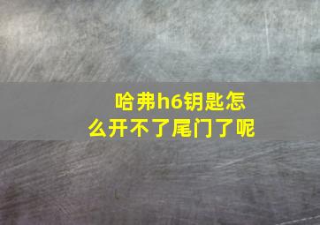 哈弗h6钥匙怎么开不了尾门了呢