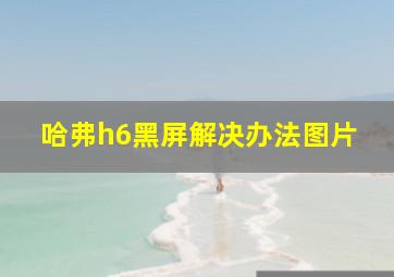 哈弗h6黑屏解决办法图片