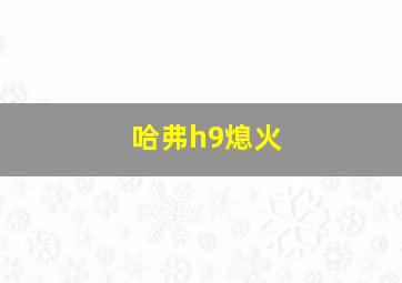 哈弗h9熄火